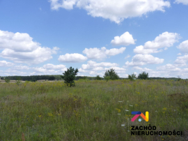 Działka budowlana z warunkami zabudowy Łagówek